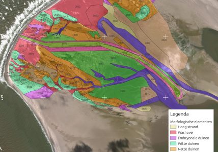 Morfologische eenheden van Rottumerplaat