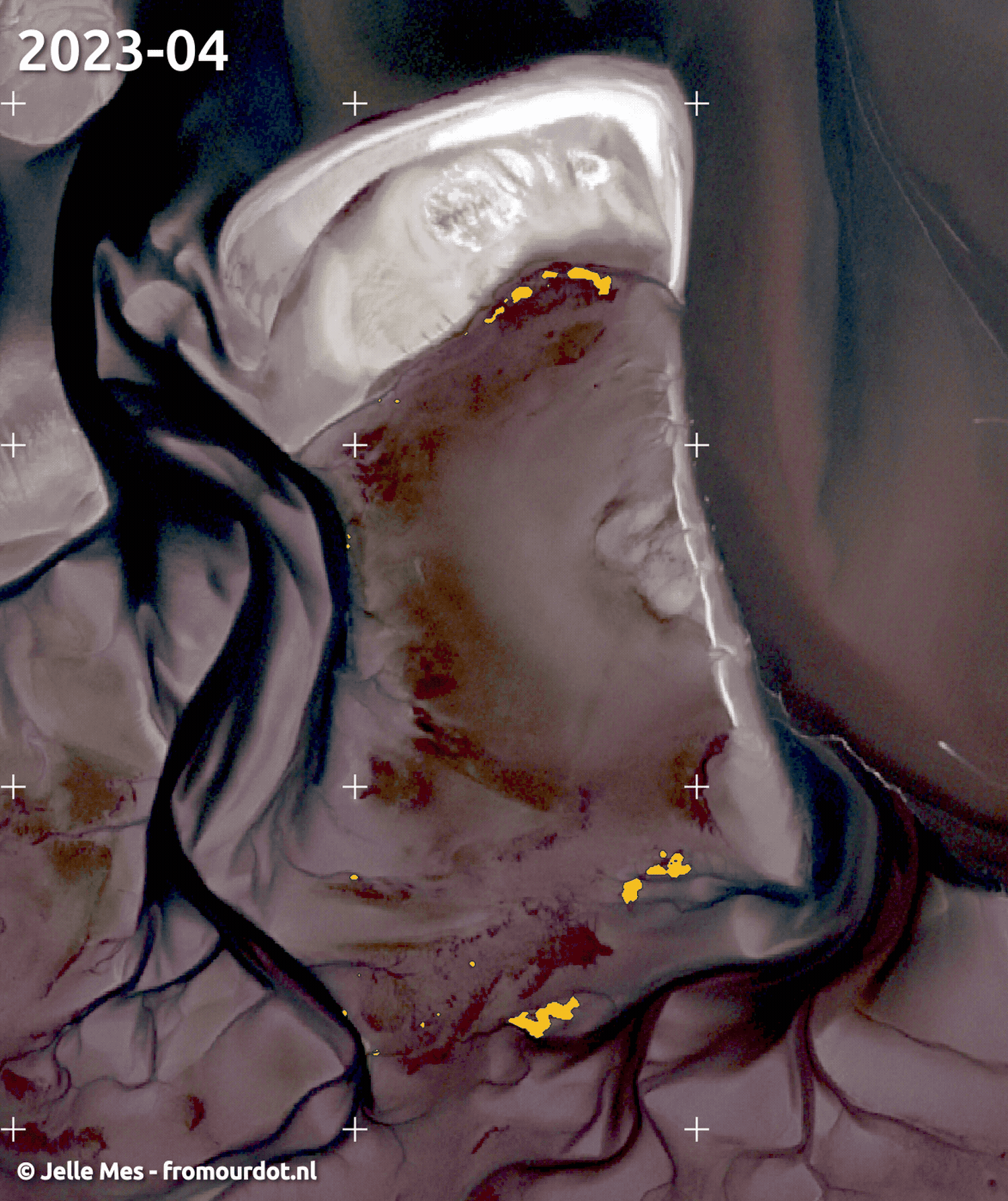 Detection of mussel reefs with satellite imagery