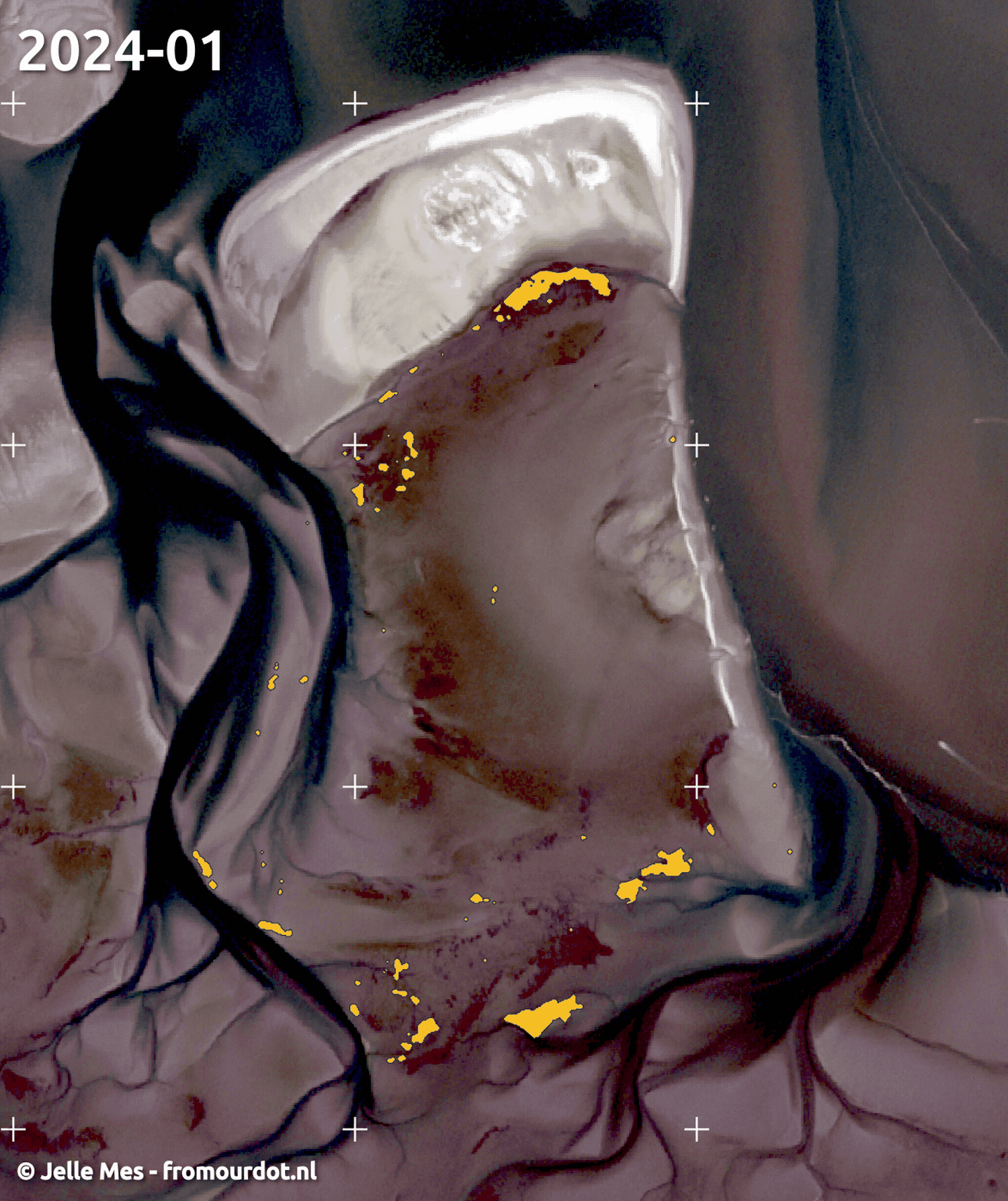 Detection of mussel reefs with satellite imagery