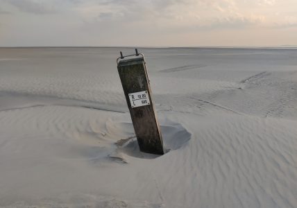 Herontdekking van strandpalen op Rottumeroog